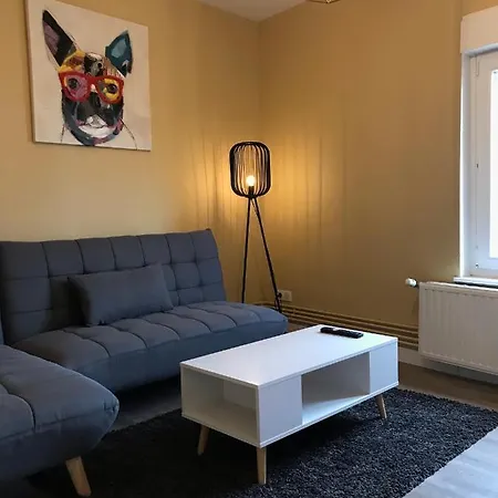 Confort - Centre - - Salle De Sport - 45 M2 Apartment