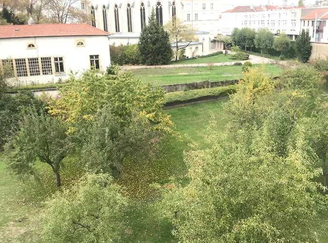 Daire Confort - Centre - - Salle De Sport - 45 M2 Nancy